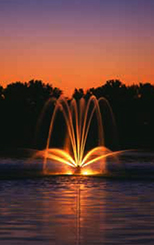  Spider & Arch Nozzle Floating Display Aerator 